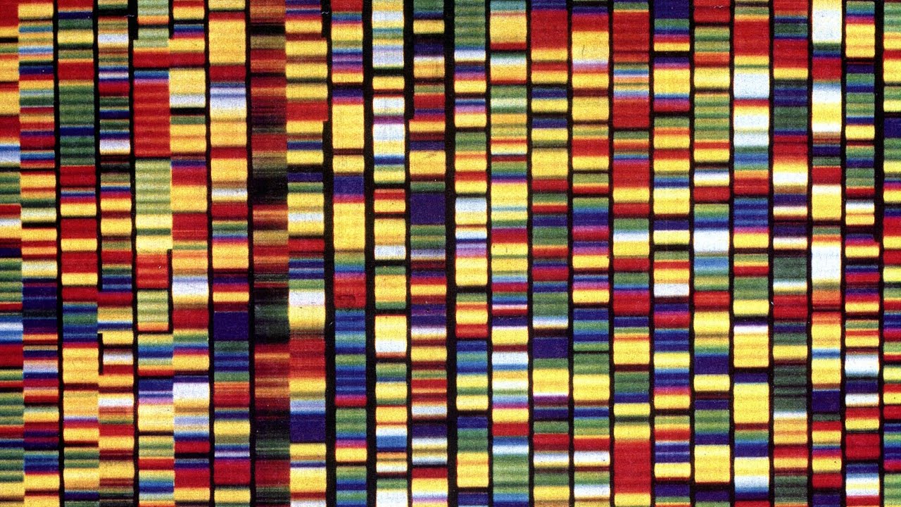 Chinese Scientists Will Be First To Use CRISPR Gene Editing On Humans