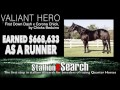 Stallionesearch Stallion Spotlight: March 6th thru March 12th