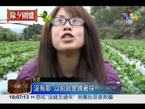 坐著採草莓! 自製採莓車超新奇