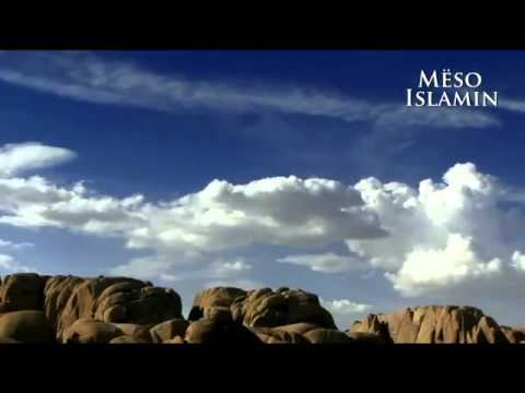 Mos u dëshpëro- Shejh Shenkiti.