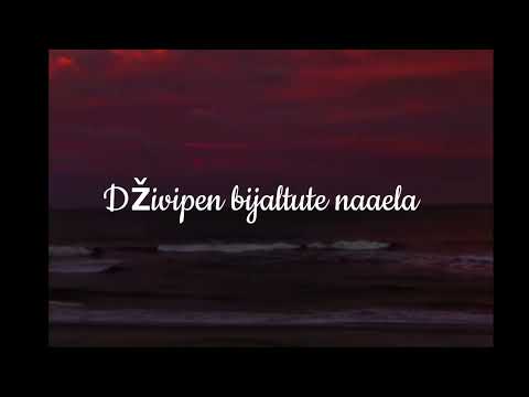 Jozef Ferenc - Aves Tu Palmande 💔