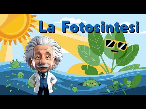 Scopri la Fotosintesi: Video Educativo per Bambini - Spiegazione Semplice e Divertente