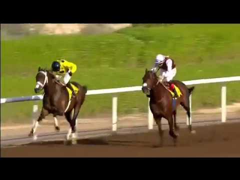 Jebel Ali 01.12.17 Race 3