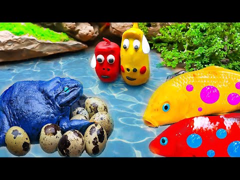 ASMR Stop Motion Fish  | Mud Survival Battle - Koi Hunt Larva With Frogs, Eels, Crabs - fish kingdom