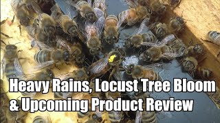 🔵Heavy Rains, Locust Tree Bloom & Upcoming Product Review 4K