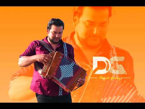 Enganchado de Chamamé : David Gómez en vivo