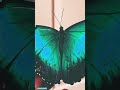 #bluebutterfly #An emerald blue butterfly#mind blowing butterfly