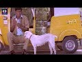 Vadivelu Funny Comedy Scene Style 2 Movie Latest Telugu Comedy Scenes TFC Comedy