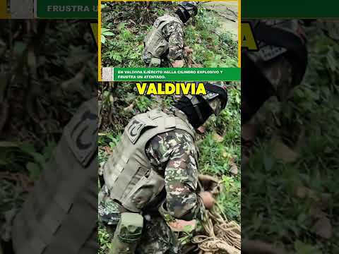 EN VALDIVIA, EJÉRCITO HALLA CILINDRO EXPLOSIVO Y FRUSTRA ATENTADO 16 #MiAntioquia #antioquia #parati