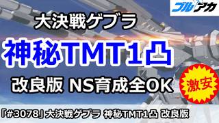 【ブルアカ】大決戦ゲブラ 神秘TMT1凸 改良版 NS育成全OK (39,802,640/TORMENT/屋外/202610版)【ブルーアーカイブ】