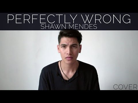 SHAWN MENDES - PERFECTLY WRONG | COVER