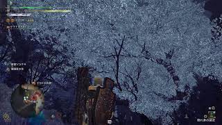 [MHWilds]自分記録用291