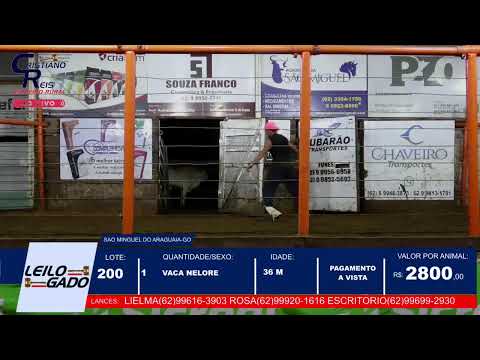 LEILÃO DA LEILOGADO  EM SÃO MIGUEL DO ARAGUAIA - GO 08/01/2026 | LEILÃO AO VIVO.