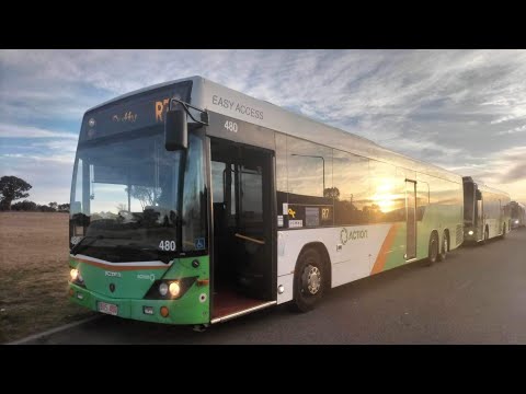 Transport Canberra BUS 480 - Scania K320UB (Loud ZF Kickdown)