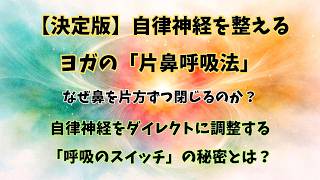 自律神経の乱れを整えるヨガ「片鼻呼吸法」実践ガイド。交感神経と副交感神経のスイッチを切り替える方法とは？　ブログ記事をNotebookLMが音声解説。