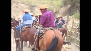 Caballo bayo Antonio Aguilar   Chile
