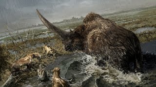 10 мифических животных, которые реально существовали