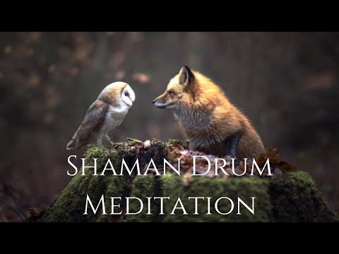 Shaman's Drums | Native American Music | Shamanic Meditation
