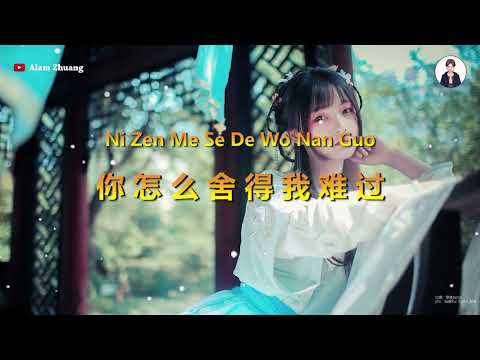 Ni Zen Me She De Wo Nan Guo ( 你怎么舍得我难过 ) - Karaoke Male