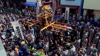 2026.8.9 A Triennial "Mikoshi" parade of Tokyo Shintoism Shrine.