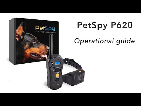 petspy collar not working