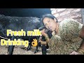 Viral Milk Making Vlog
