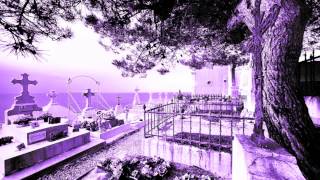 Alain Souchon - Le Marin ( Dogo Screw Remix )