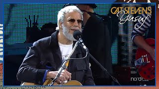 Yusuf / Cat Stevens - People Get Ready (Viña Del Mar Festival, Chile 2015)