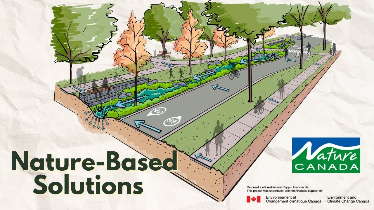 Nature-Based Climate Solutions and Green Infrastructure