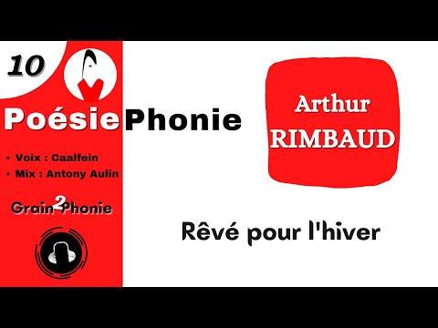 Arthur Rimbaud Auteur De Poesies Babelio