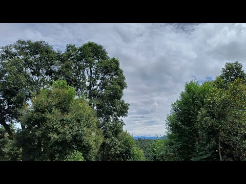 Zodinthari-Sual Kung Thing(Sunna Hla)