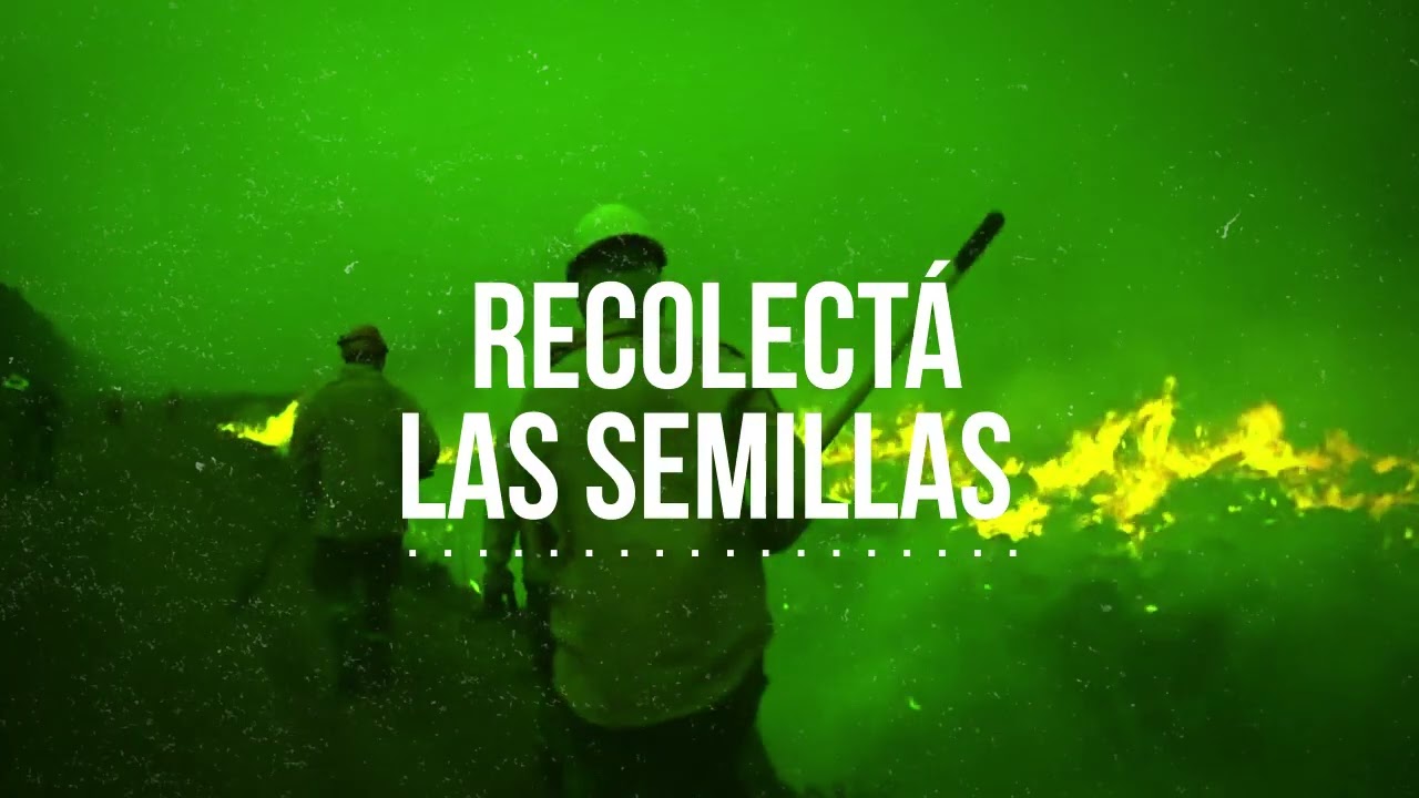 youtube video id=94IOed5f9ZM