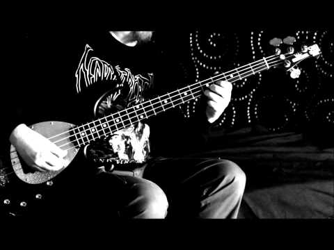 Cause For Effect - Audiopotential Motel bass playthrough