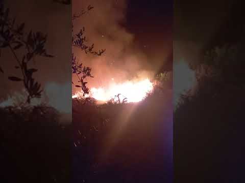 Incendio a Santo Pietro Belvedere 19/04/2022