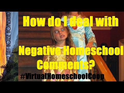 VHC#2: How Do I Deal with Negative Homeschool Comments?