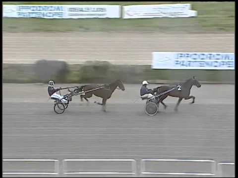 Trotto 05/03/2015 - 1° prova di riqualifica