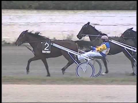 Trotto 22/01/2015 - 3° Corsa