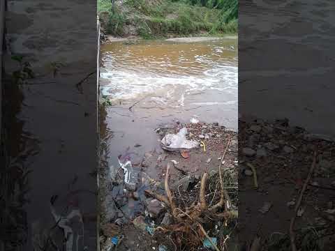 Chuvas no Nordeste: Rio na saída de Arara pra Casserengue/ PB.
