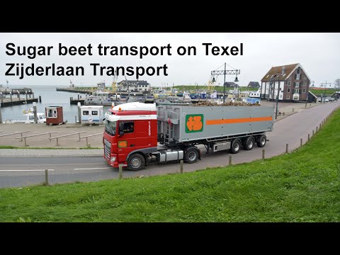 Sugar Beet transport on Texel