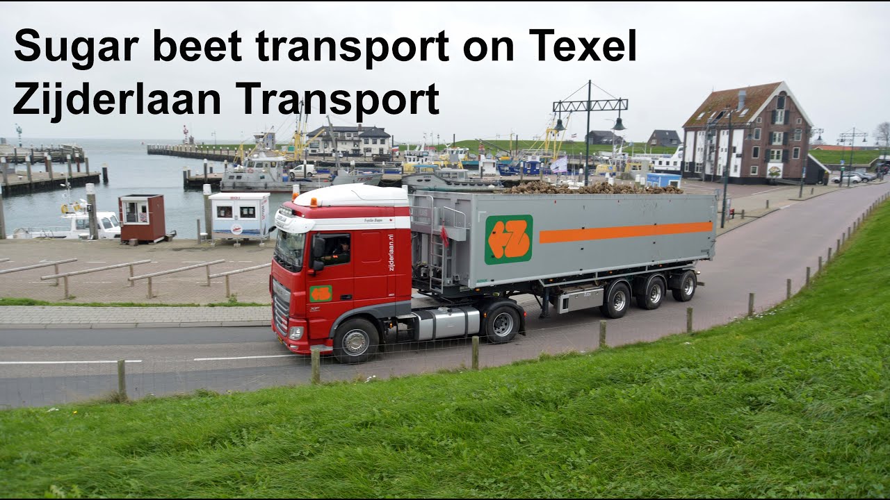 Suikerbieten rijden op Texel