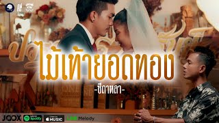 ไม้เท้ายอดทอง ซี ดาหลา