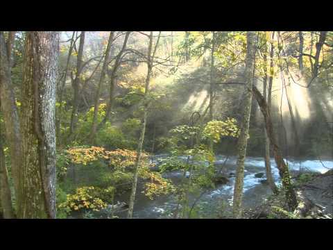 download lagu mp3 mp4 Www Voie, download lagu Www Voie gratis, unduh video klip Www Voie