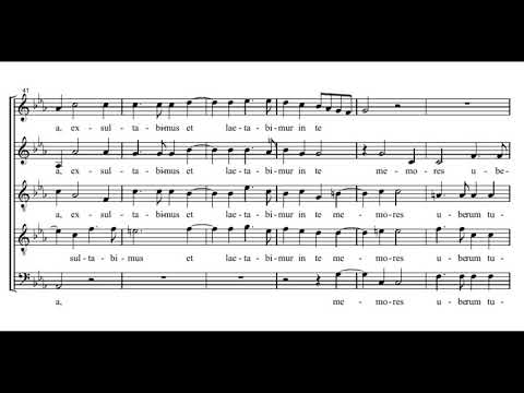 Palestrina: Trahe me post te - Sixteen