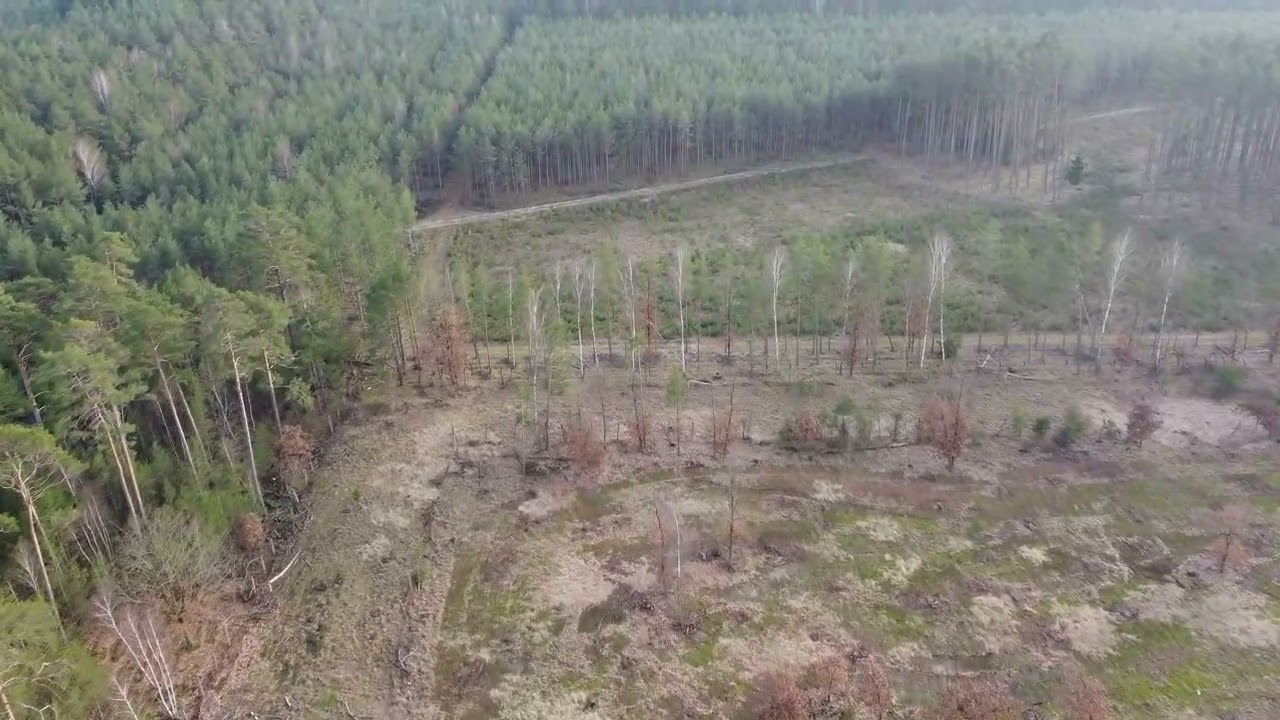 Zlikwidowany Bomboskład w Okolicy Stara Łubianka