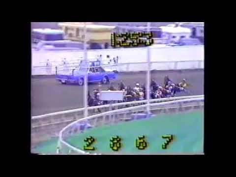 1986 Meadowlands ROYAL PRESTIGE Berndt Lindstedt-Hambletonian 1st Division