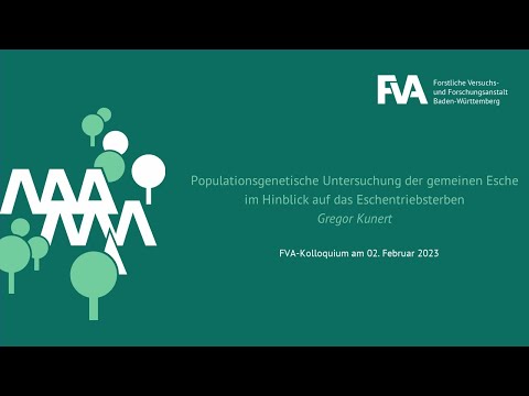 Populationsgenetische Untersuchung der gemeine Esche im Hinblick auf das Eschentriebsterben
