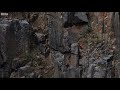 Eddie Murphy Ft Chicks Jumping Off Cliff