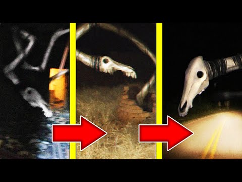 0 Как выглядит красная долговязая лошадь