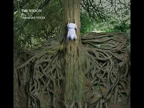 Video thumbnail for The Widow (Live Acoustic Version)