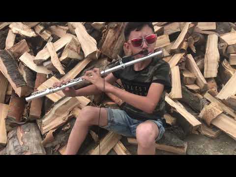 Maluma-Corason (Flute Cover)